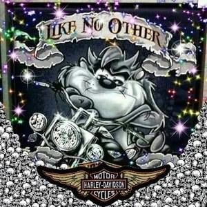 Meet your Posher, Marilyn